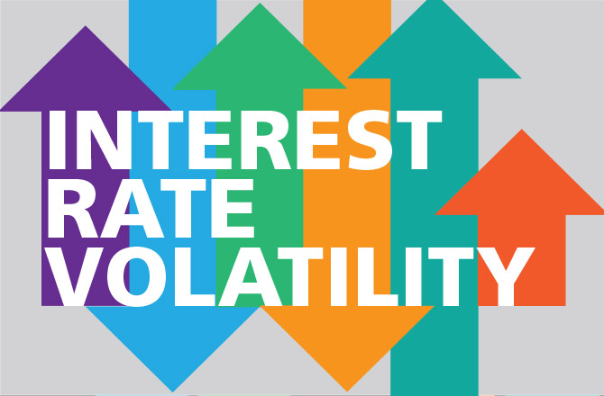 Four Drivers of Interest Rate Volatility
